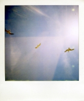 8_farrockawaymay013.jpg