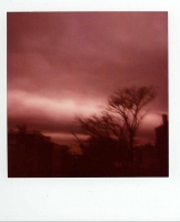 8_ousidemywindow001.jpg