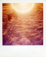 8_polaroid003.jpg