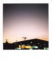 8_polaroid004.jpg