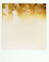 8_polaroid005.jpg