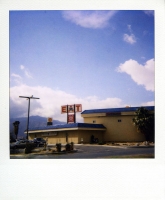 8_polaroid008.jpg