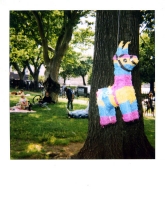 8_polaroid013.jpg